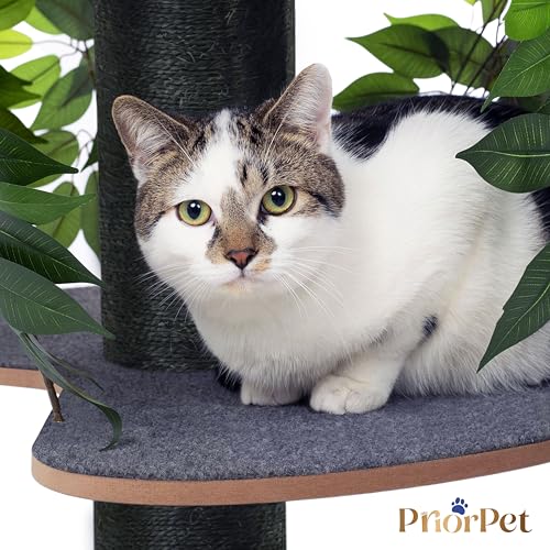 Kratzbaum Natur zum Klettern, Verstecken und Schlafen - groß mit austauschbaren Blättern - mehrstufig, einfach zu montieren - haustiersichere Materialien, langlebige und Patentierter robuste Cat Tree
