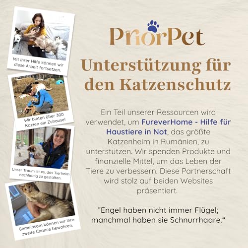 Kratzbaum Natur zum Klettern, Verstecken und Schlafen - groß mit austauschbaren Blättern - mehrstufig, einfach zu montieren - haustiersichere Materialien, langlebige und Patentierter robuste Cat Tree