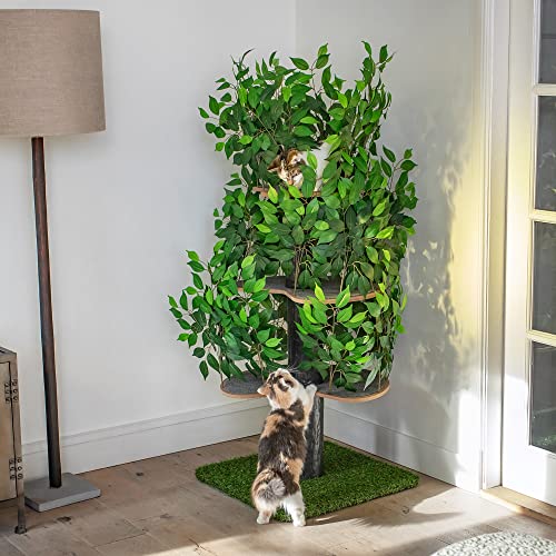 Kratzbaum Natur zum Klettern, Verstecken und Schlafen - groß mit austauschbaren Blättern - mehrstufig, einfach zu montieren - haustiersichere Materialien, langlebige und Patentierter robuste Cat Tree