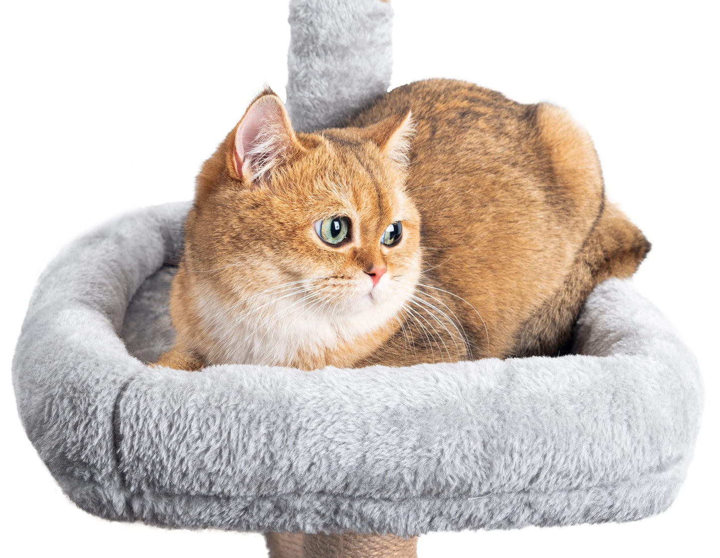 Katzenbaum 145 cm – Aktivitätskratzbaum mit Höhle & Plattformen