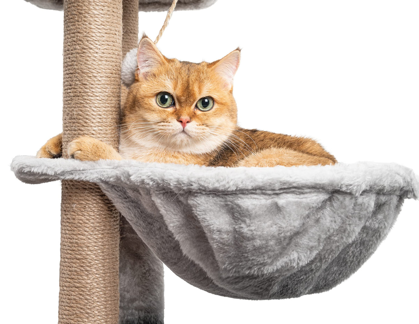 Katzenbaum 145 cm – Aktivitätskratzbaum mit Höhle & Plattformen