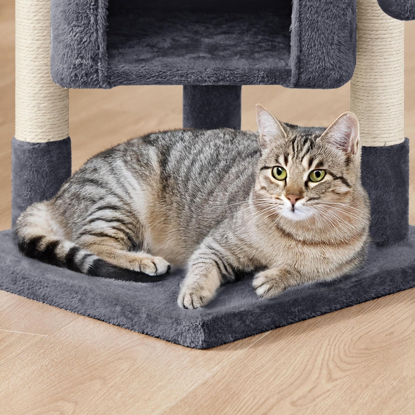 Katzenkratzbaum 60 cm – Kompakt, Sisal & Kuschelhöhle, dunkelgrau