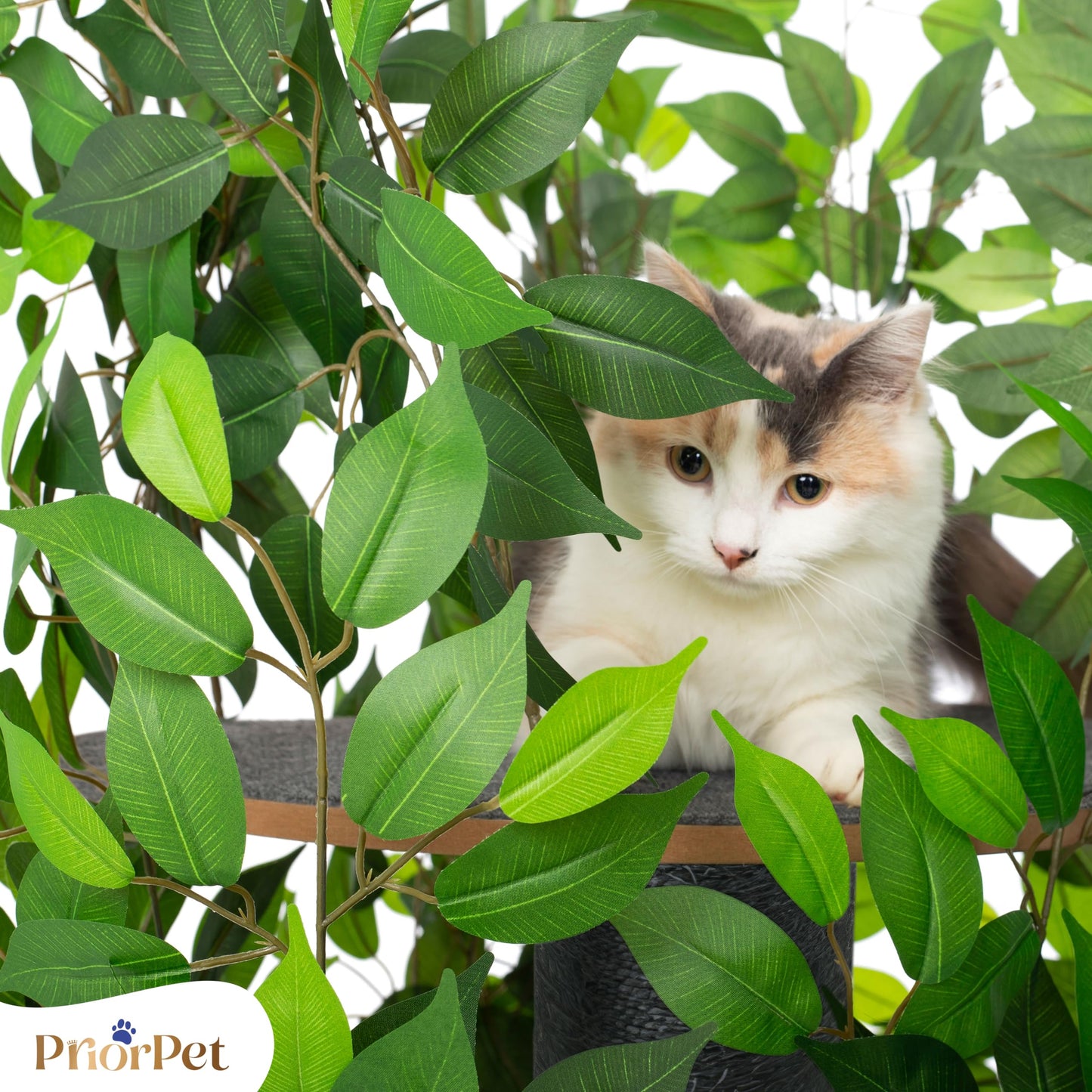 Kratzbaum Natur zum Klettern, Verstecken und Schlafen - groß mit austauschbaren Blättern - mehrstufig, einfach zu montieren - haustiersichere Materialien, langlebige und Patentierter robuste Cat Tree